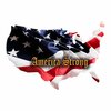 Next Innovations USA Shape America Strong Small Wall Art 101409034-STRONG